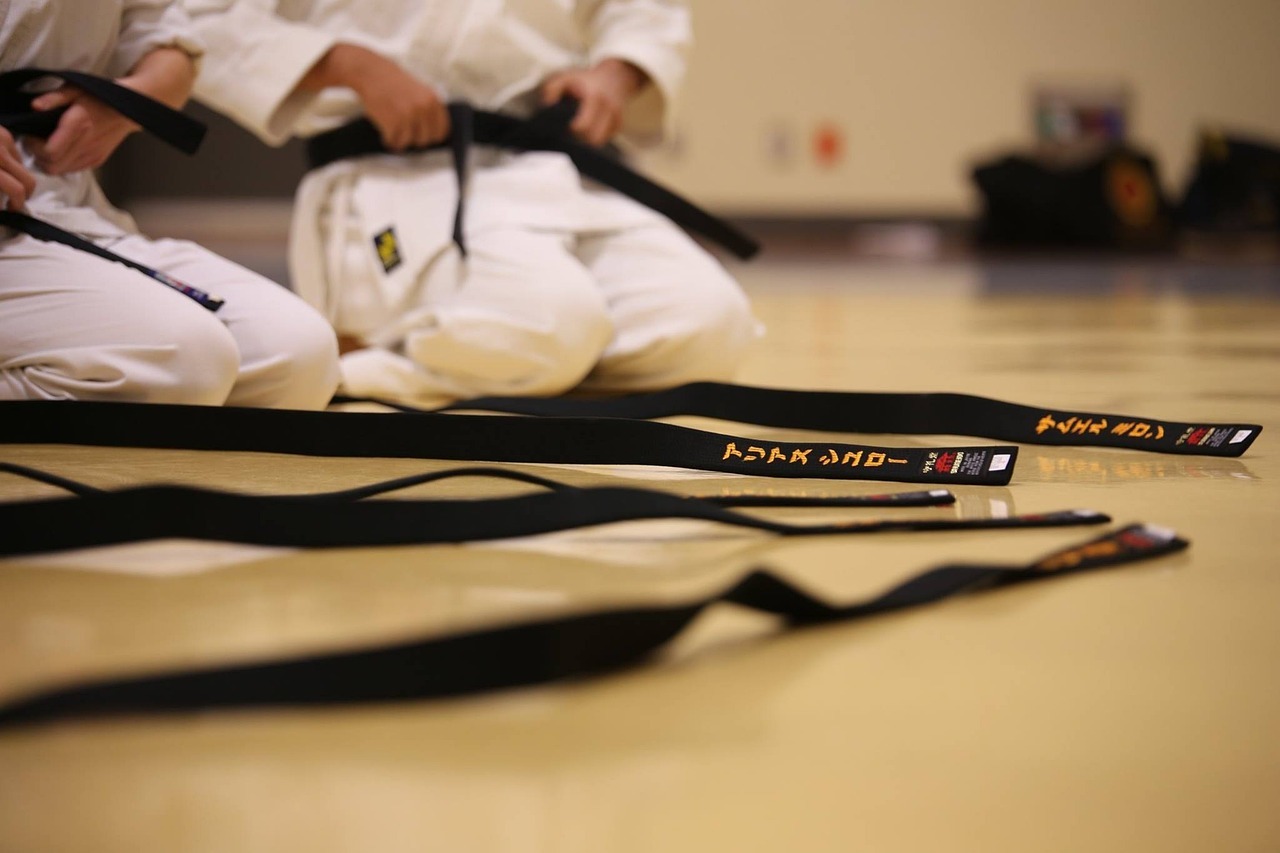 Revolution Modern Martial Arts