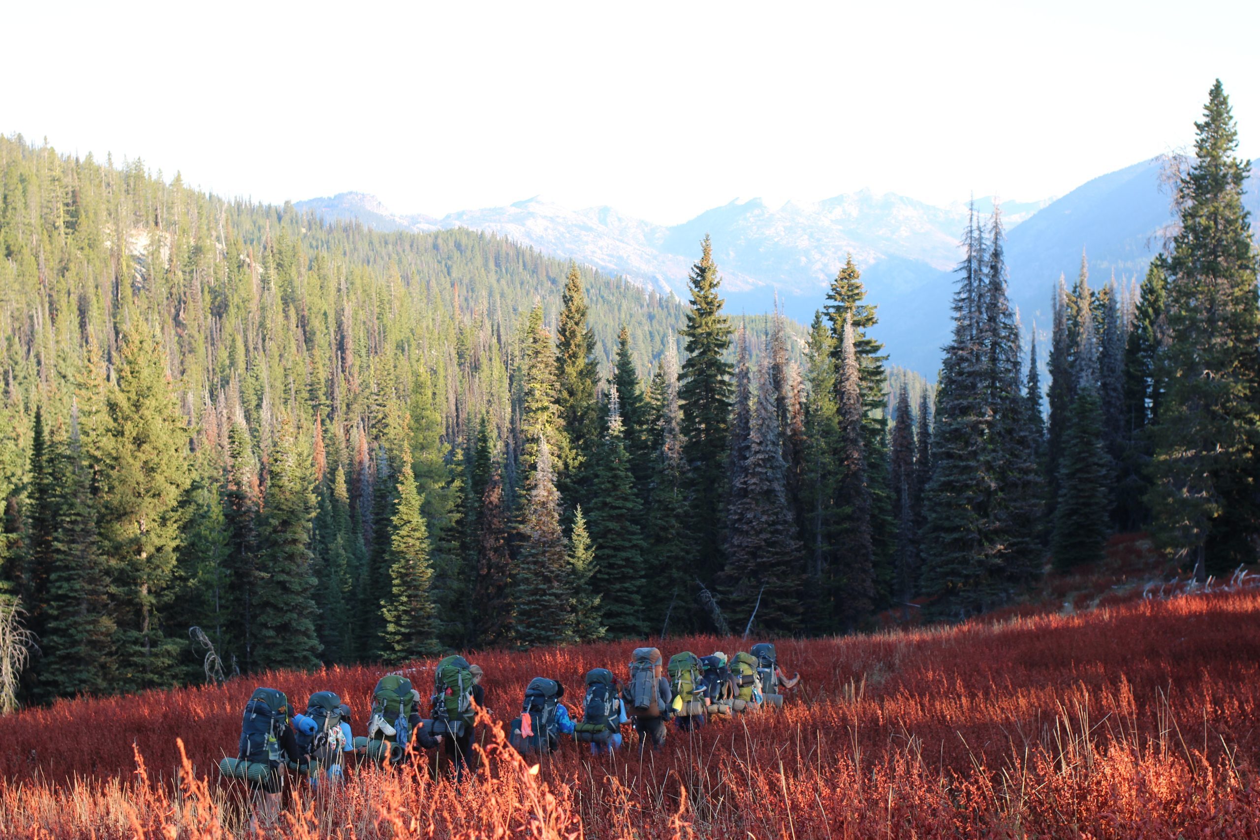 Boise Playcamp фото 1