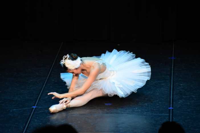 Robert Ivey Ballet Summer Camp