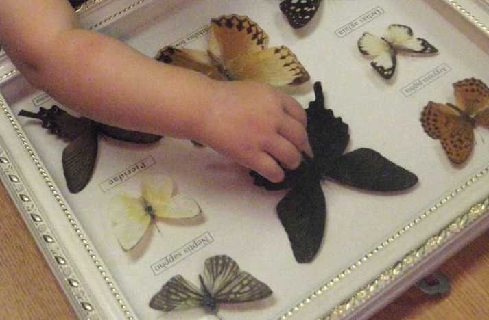 Room To Grow Day Camp