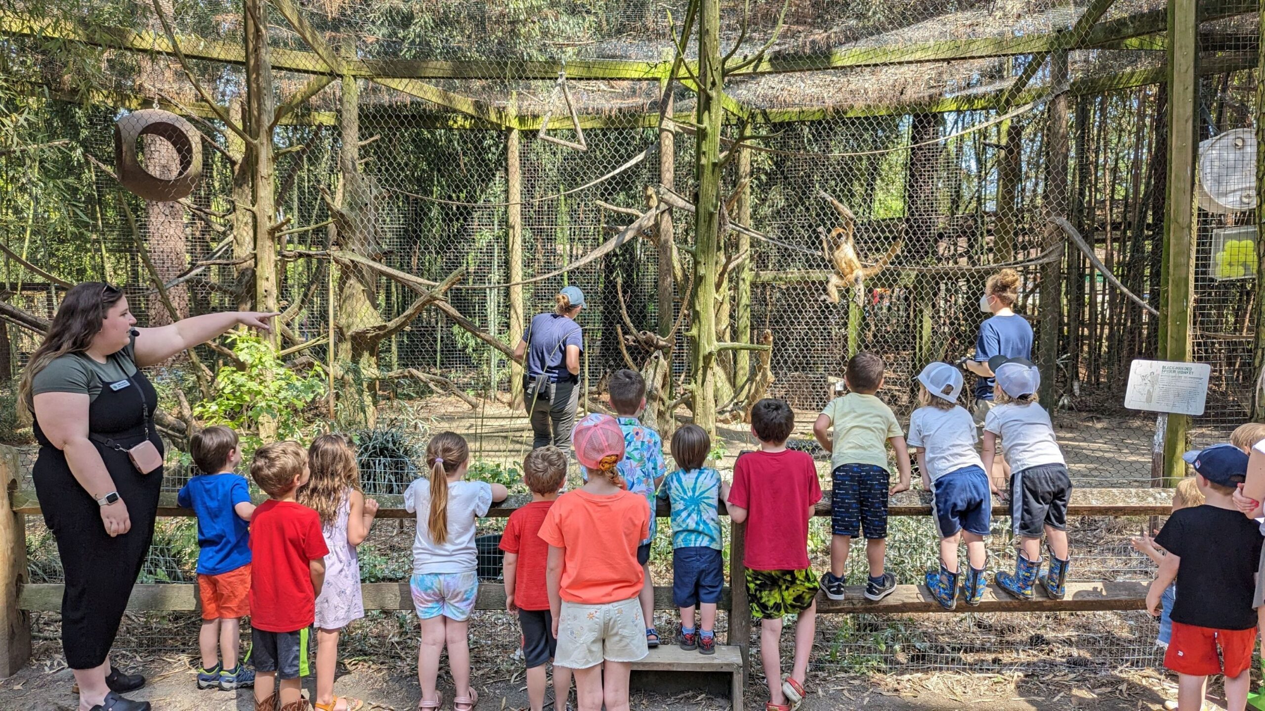 Salisbury Zoo Summer Programs photo 1