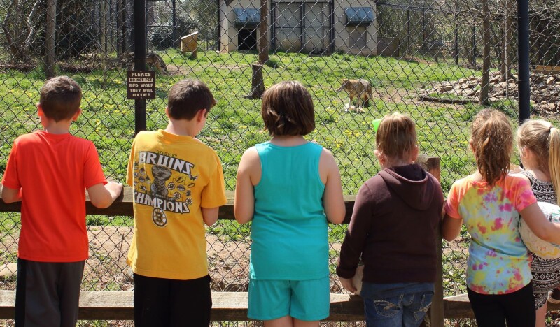 Salisbury Zoo Summer Programs
