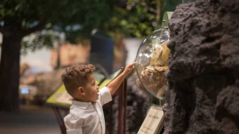 Sam Noble Museum Summer Camp