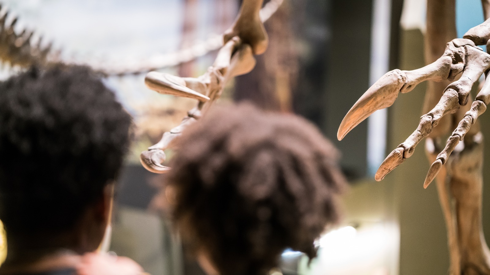 Keystone Adventure School & Farm фото 1