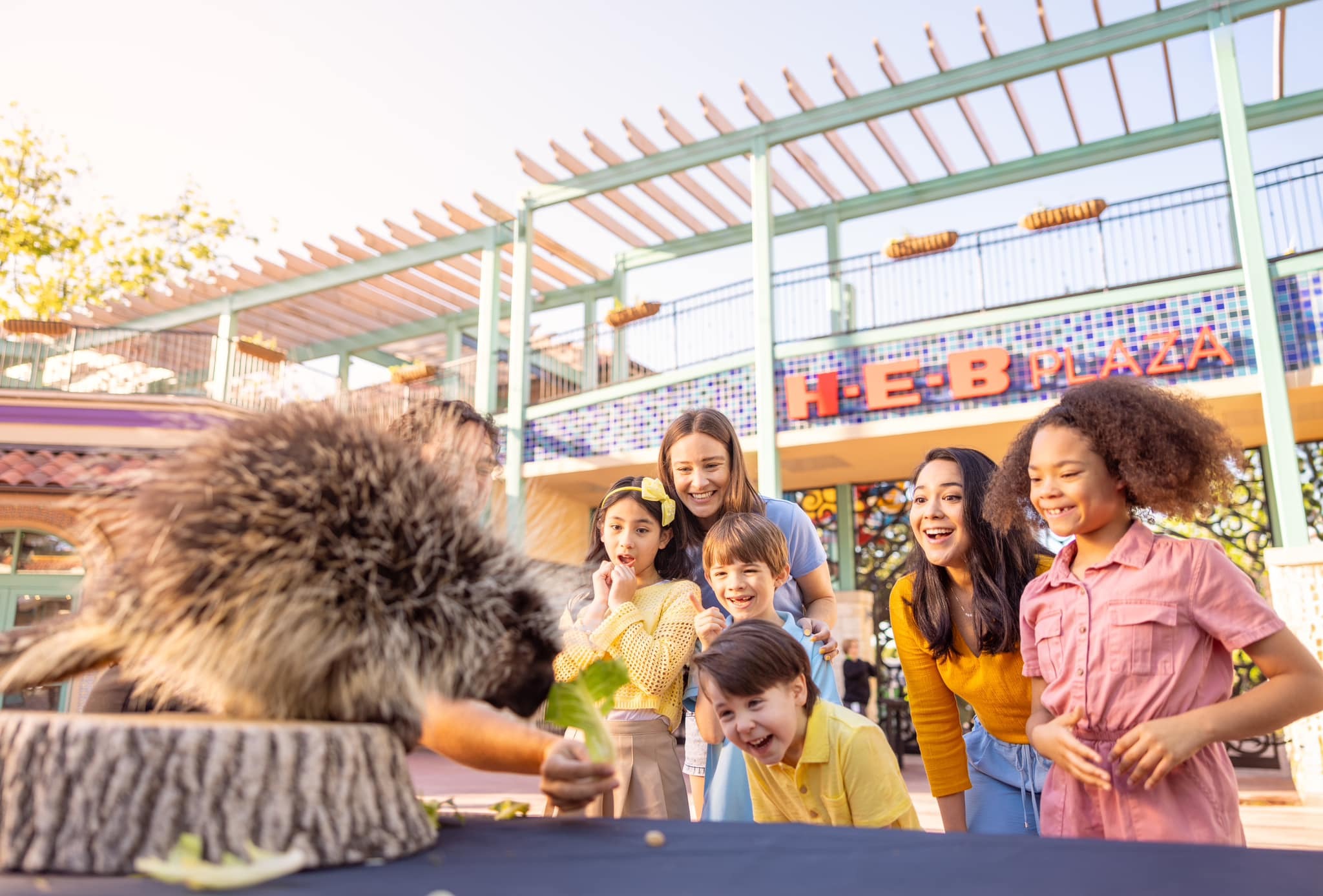 Dallas Zoo Wild Adventures Summer Camps фото 1