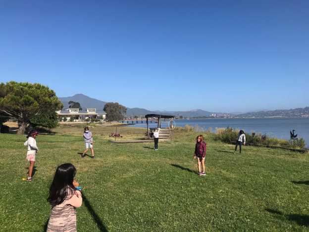 Science Adventures - Marin Montessori School