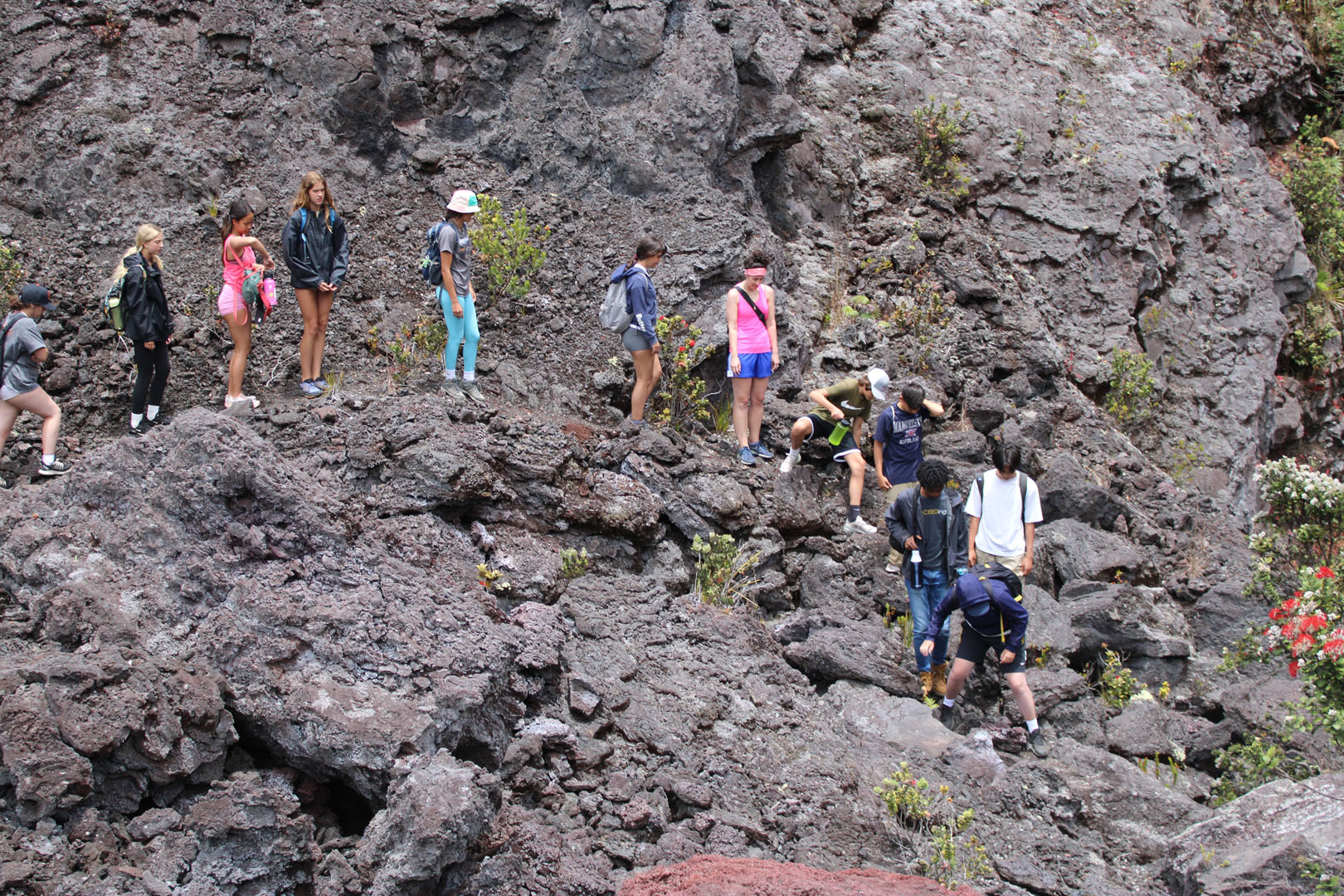 Science Camps Of America фото 1