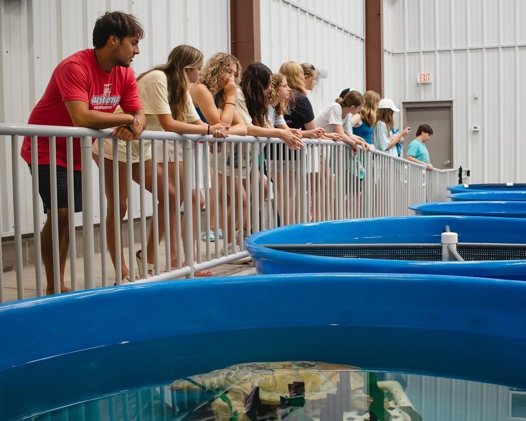 Camp Pinnacle фото 1