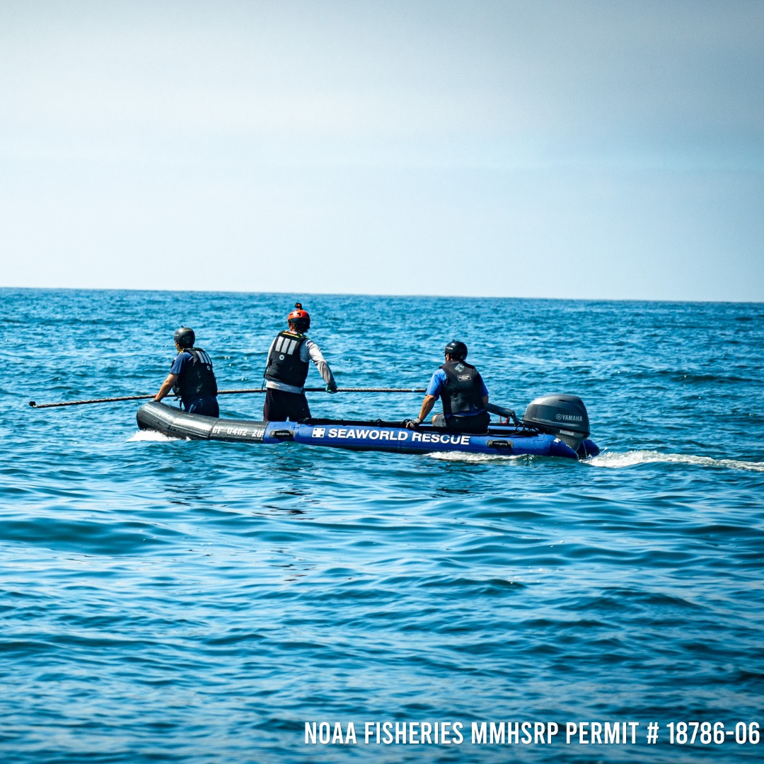 Camp Honi Hanta фото 1