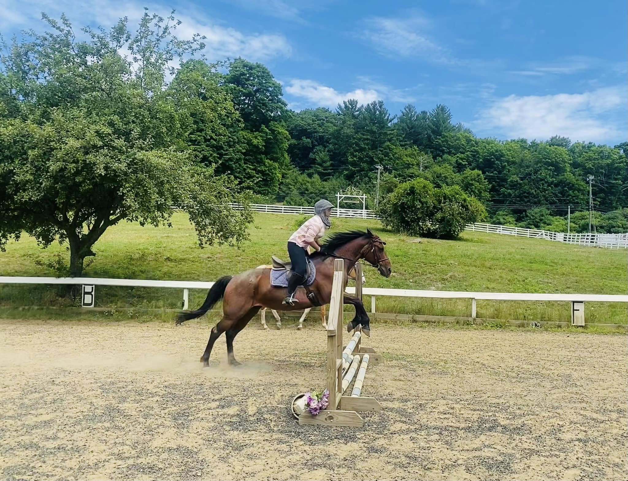 SJ Riding Camp
