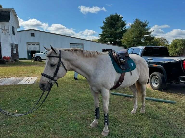 Adidas Tennis Camp At Avon Old Farms School фото 1