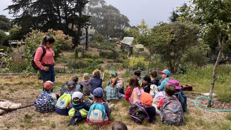 Slide Ranch: Summer Camp