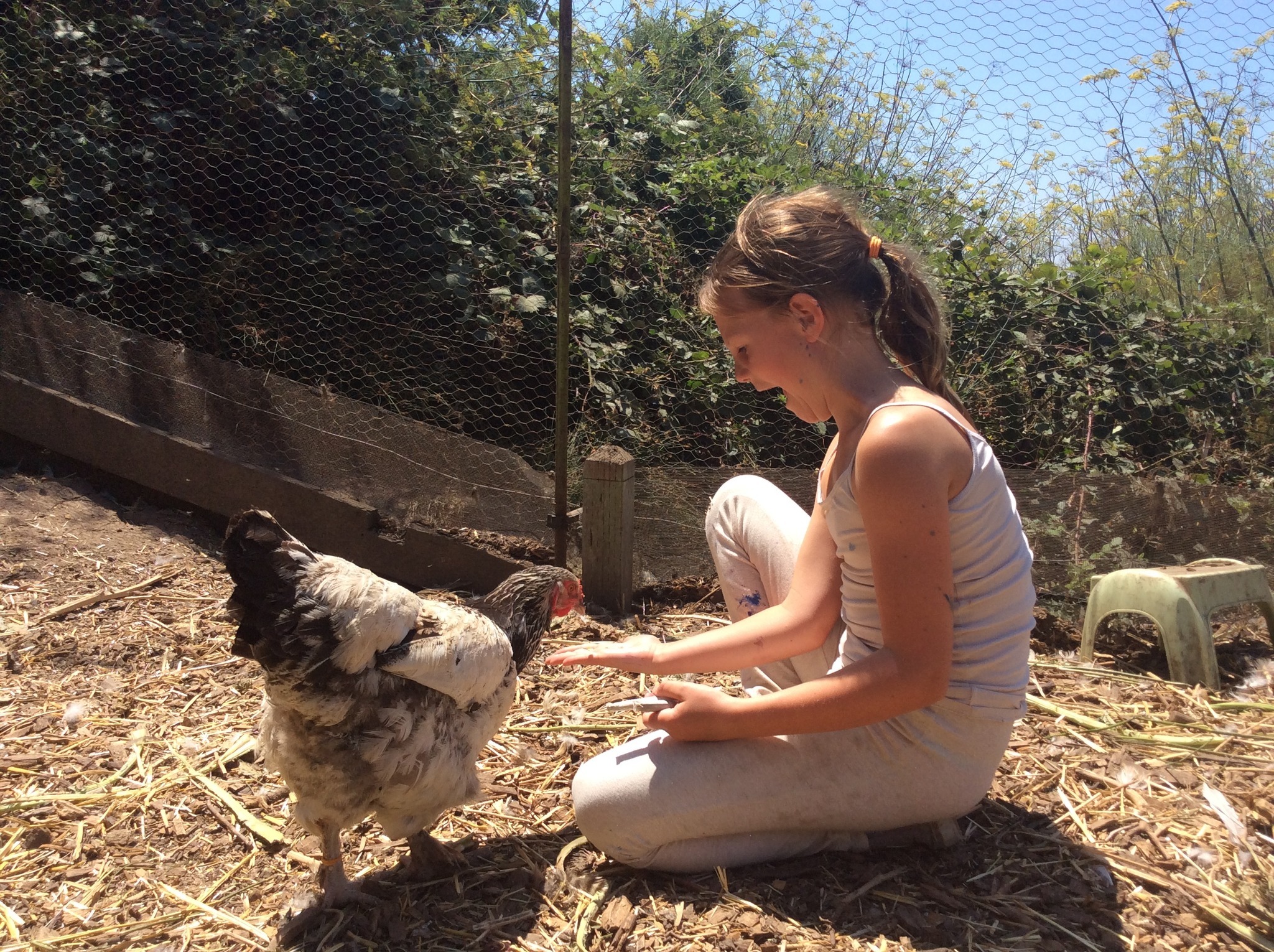 Slide Ranch: Summer Camp photo 1