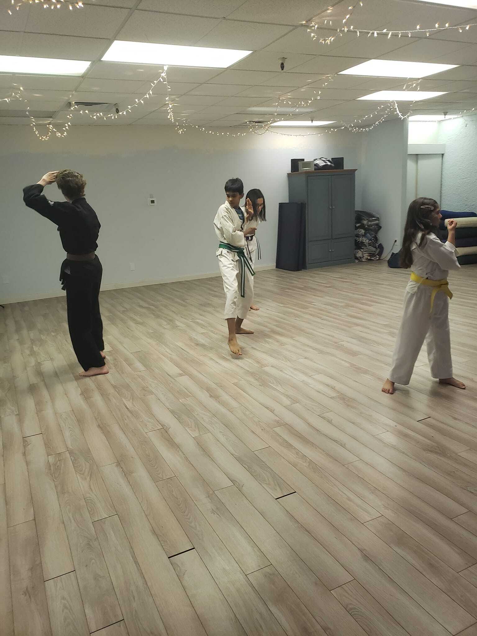 Spring Break Karate Camp - Scottsdale photo 1