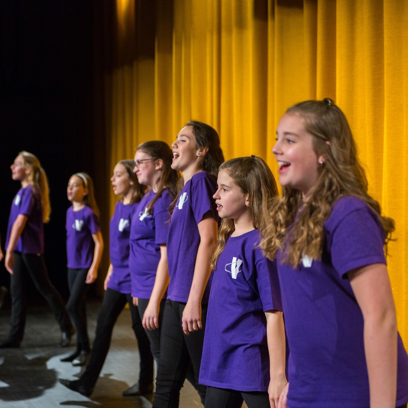 Stage Right Performing Arts Musical Theater Camp photo 1