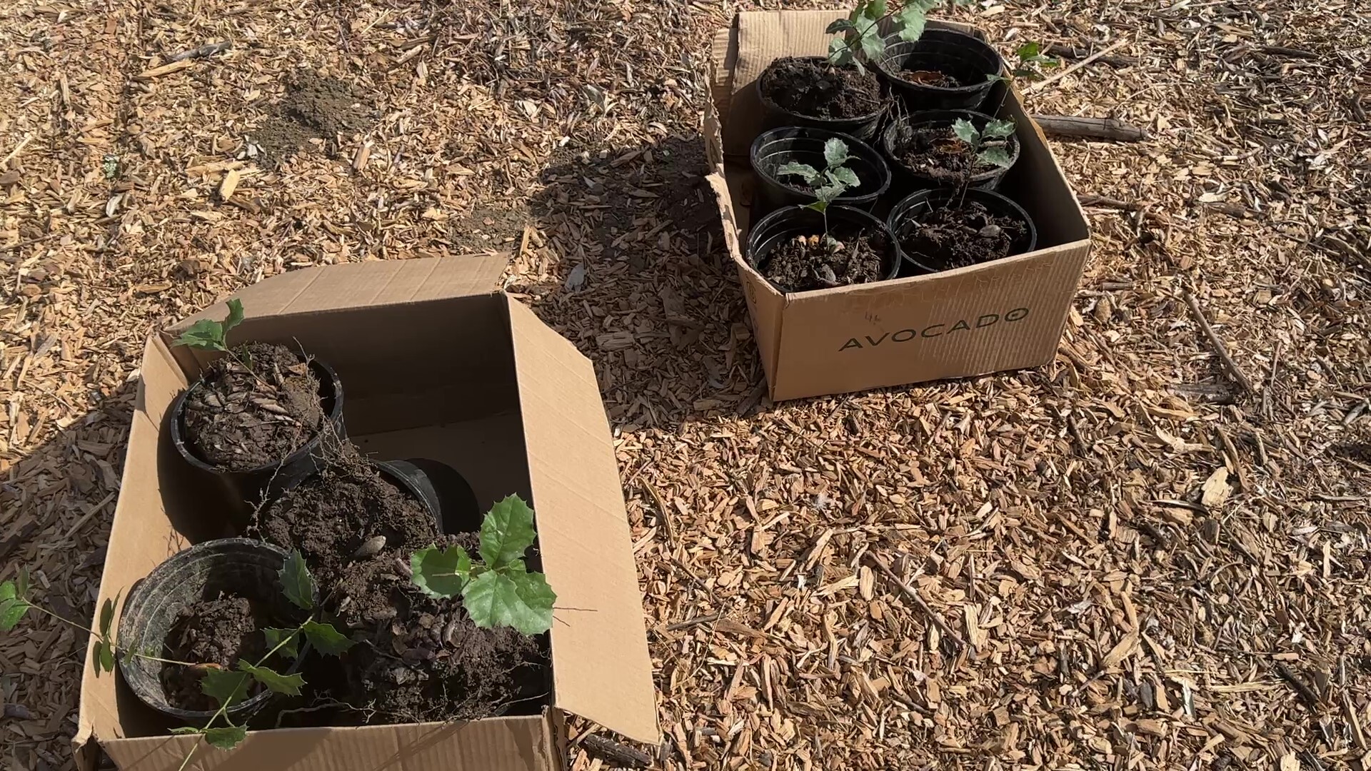 Starr Ranch Junior Biologists Day Camp photo 1