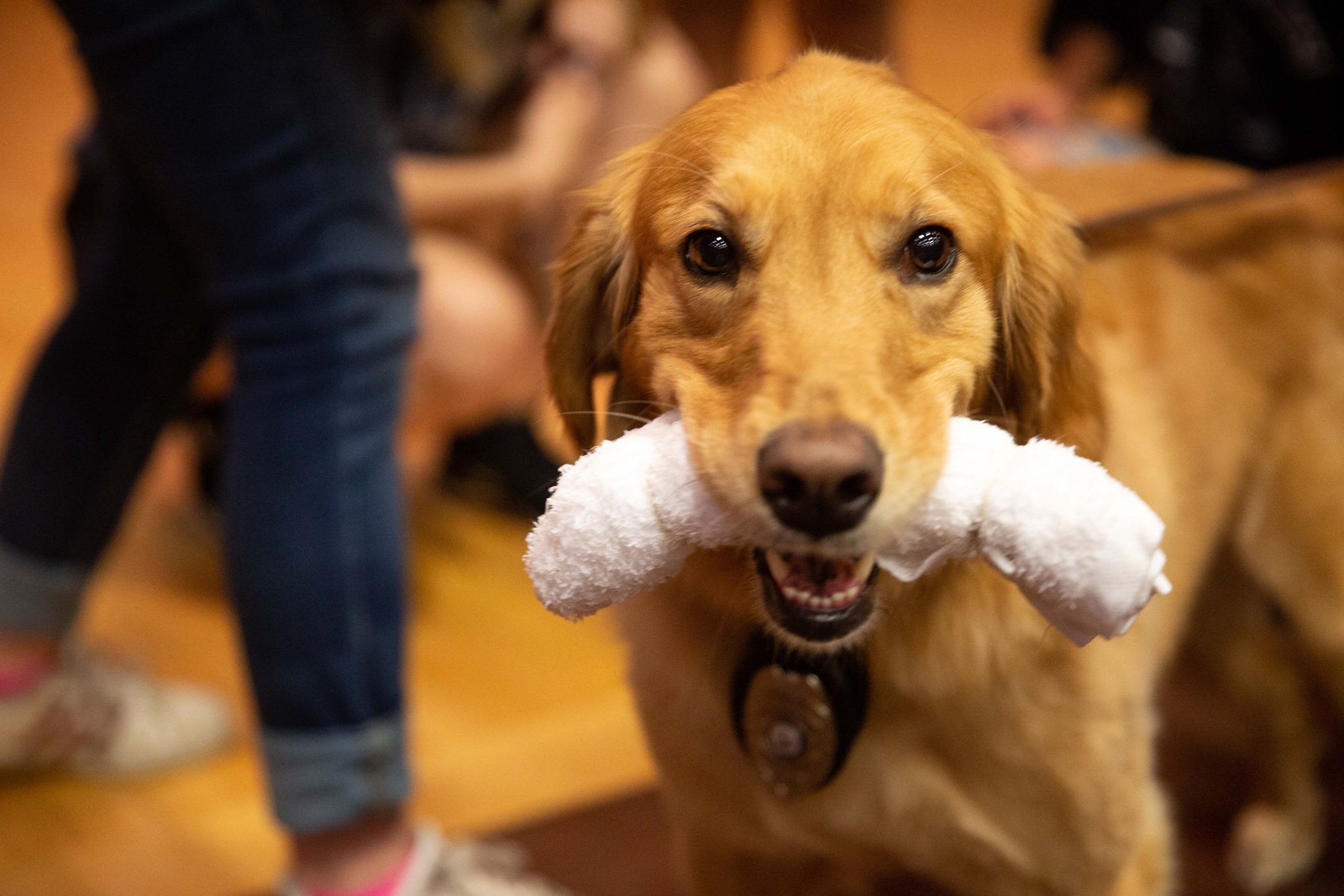 MLC STEM Summer Camp фото 1