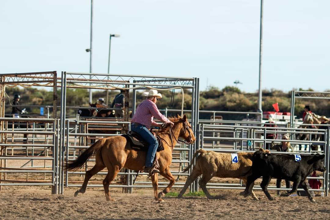 Wizards And Warriors Summer Camp фото 1