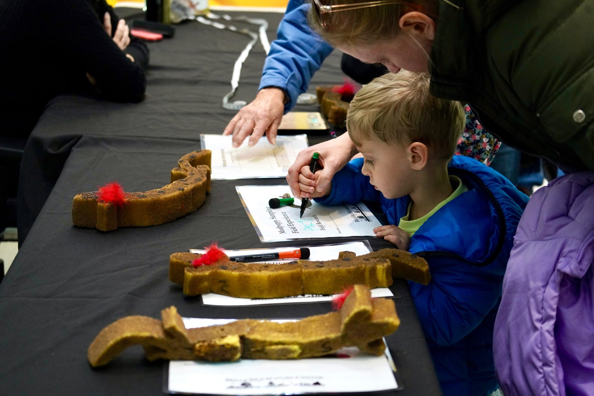 Camp Hawthorn Hollow фото 1