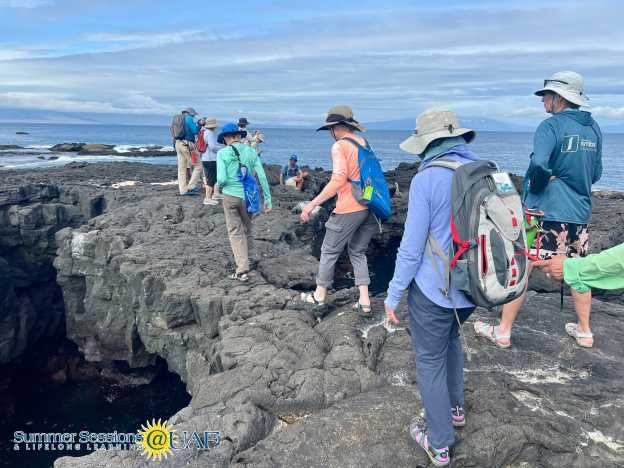 Summer sessions and lifelong learning