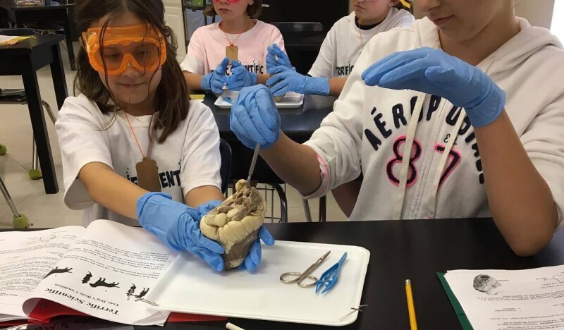 Terrific Scientific Summer Day Camps