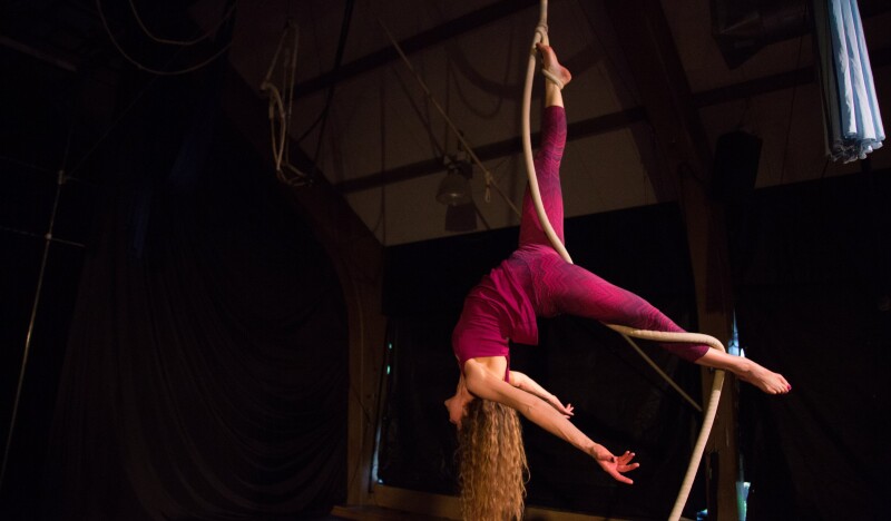 The Actors Gymnasium Summer Camp