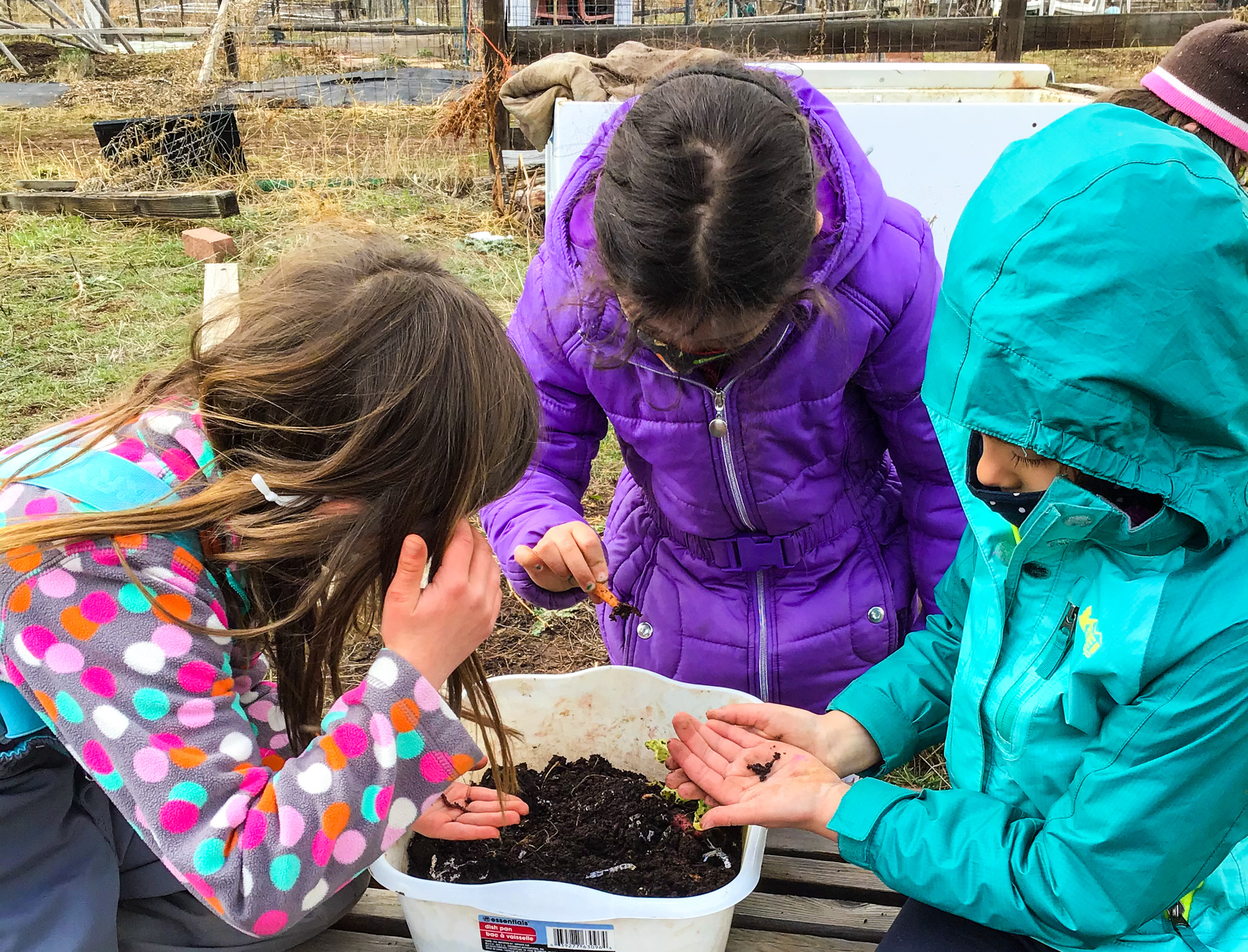 The Cultiva! Youth Project фото 1