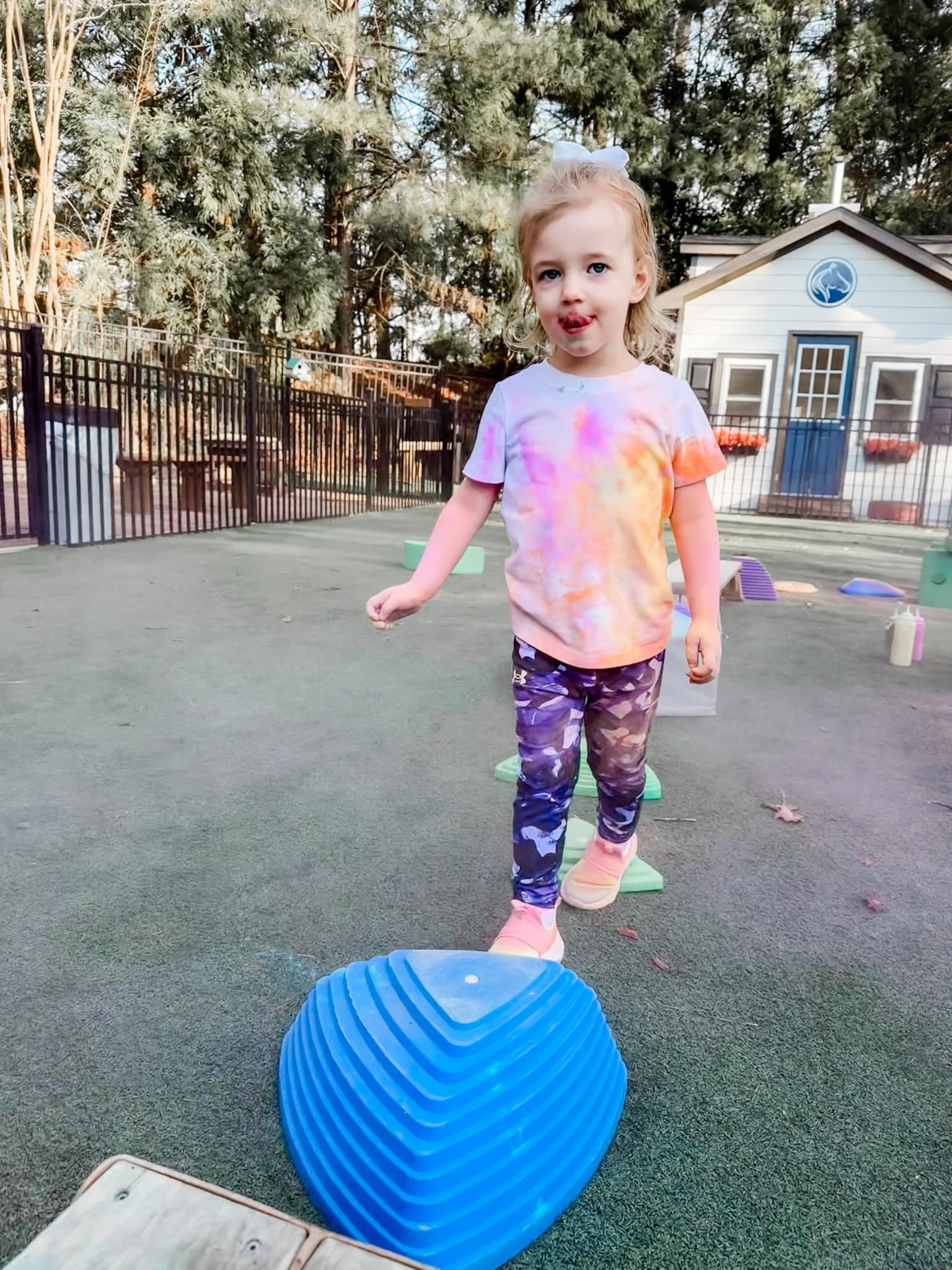 The Goddard School Buford фото 1