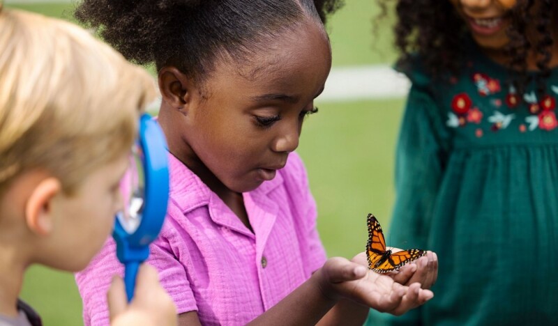 The Goddard School Chandler I, AZ