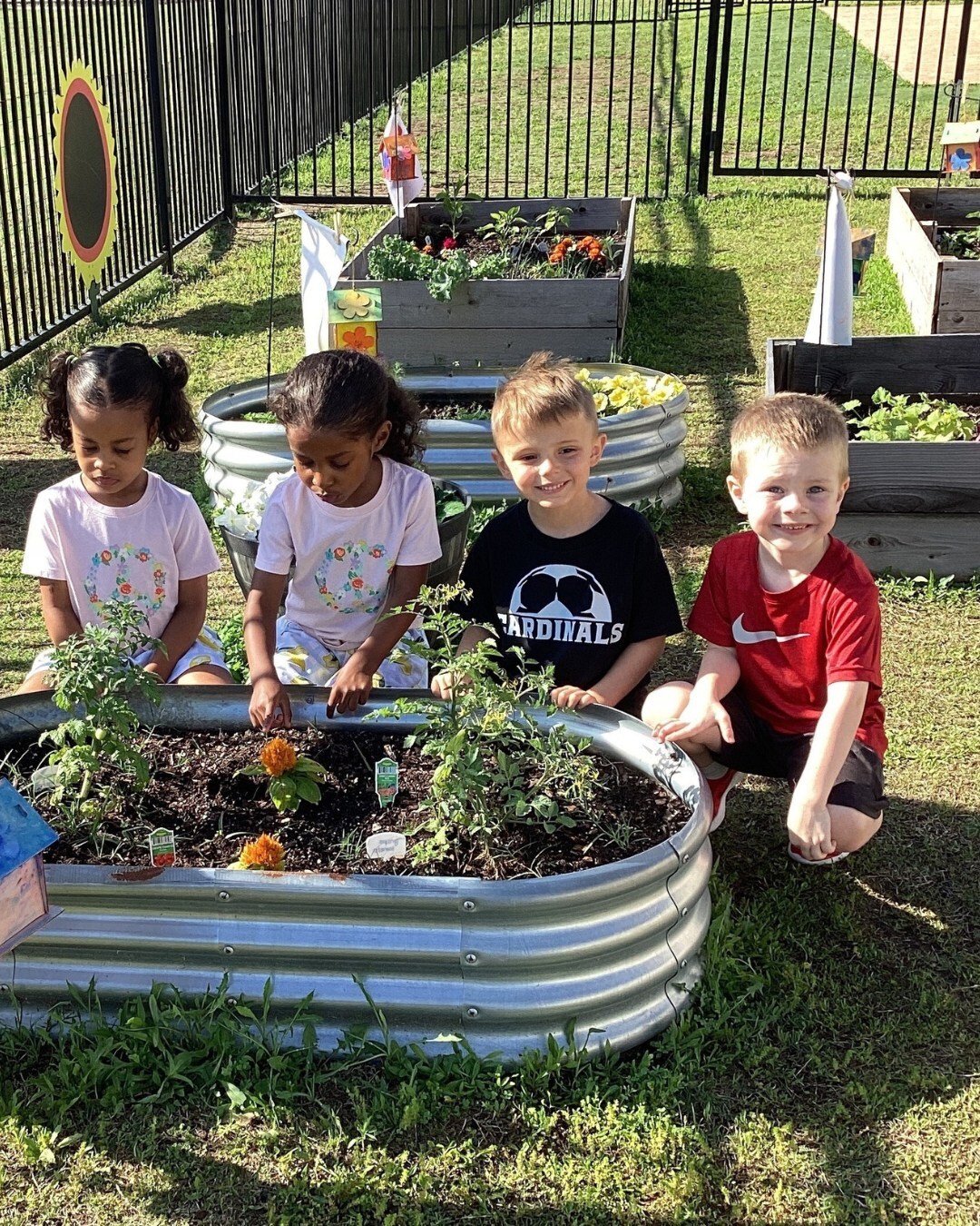 Aim High Summer Camp фото 1