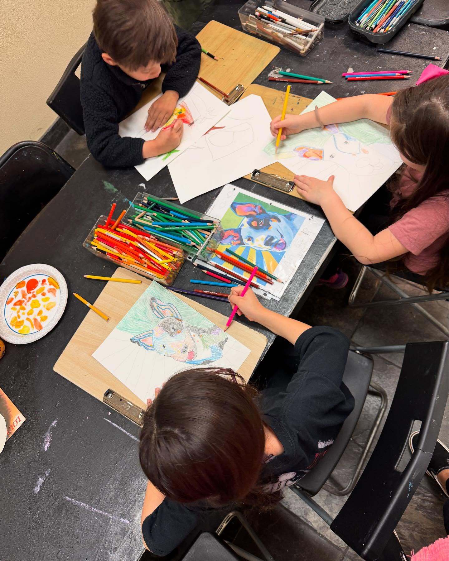 Camp Cartwheel фото 1