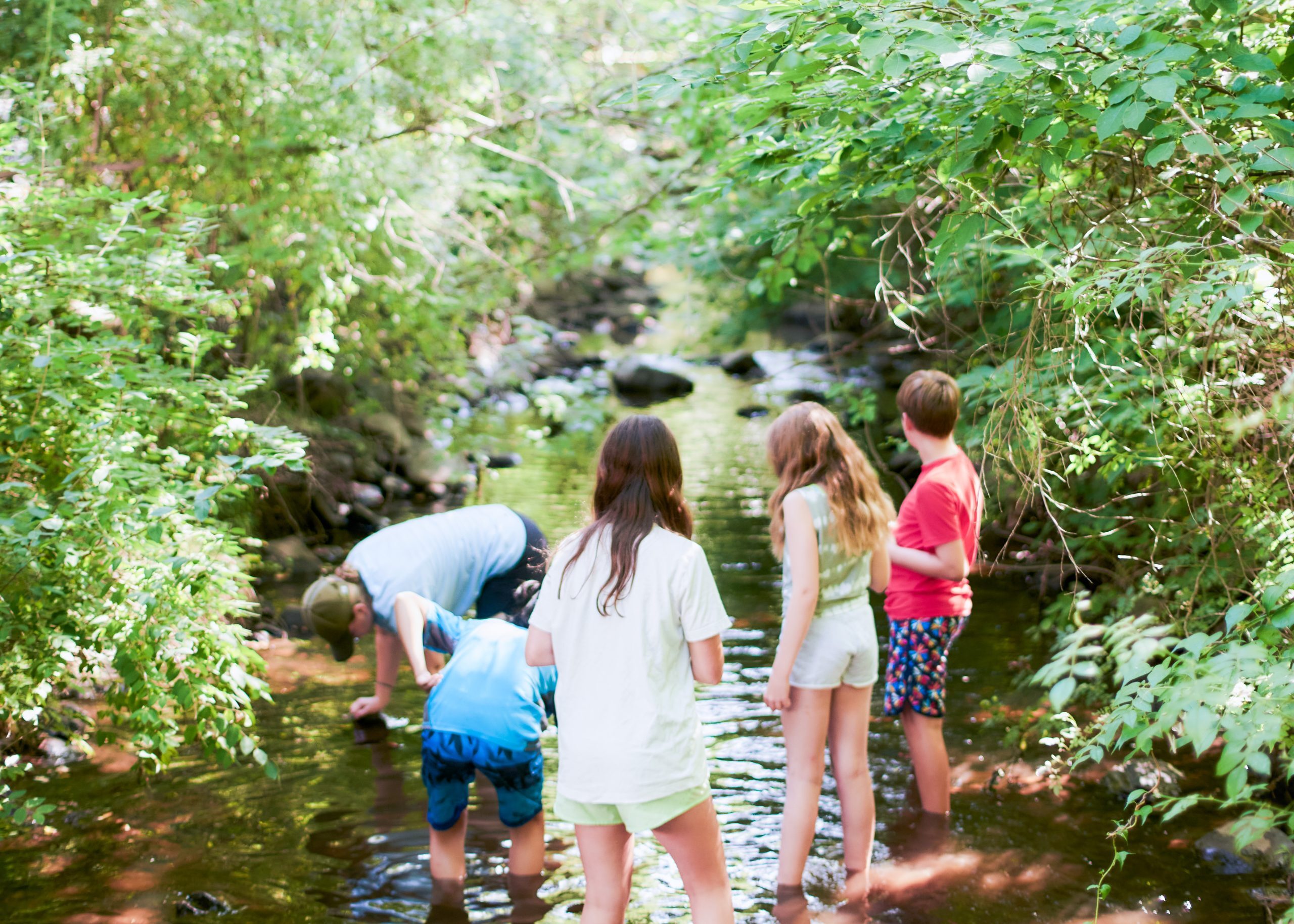 Forest Lake Camp For Boys Summer фото 1