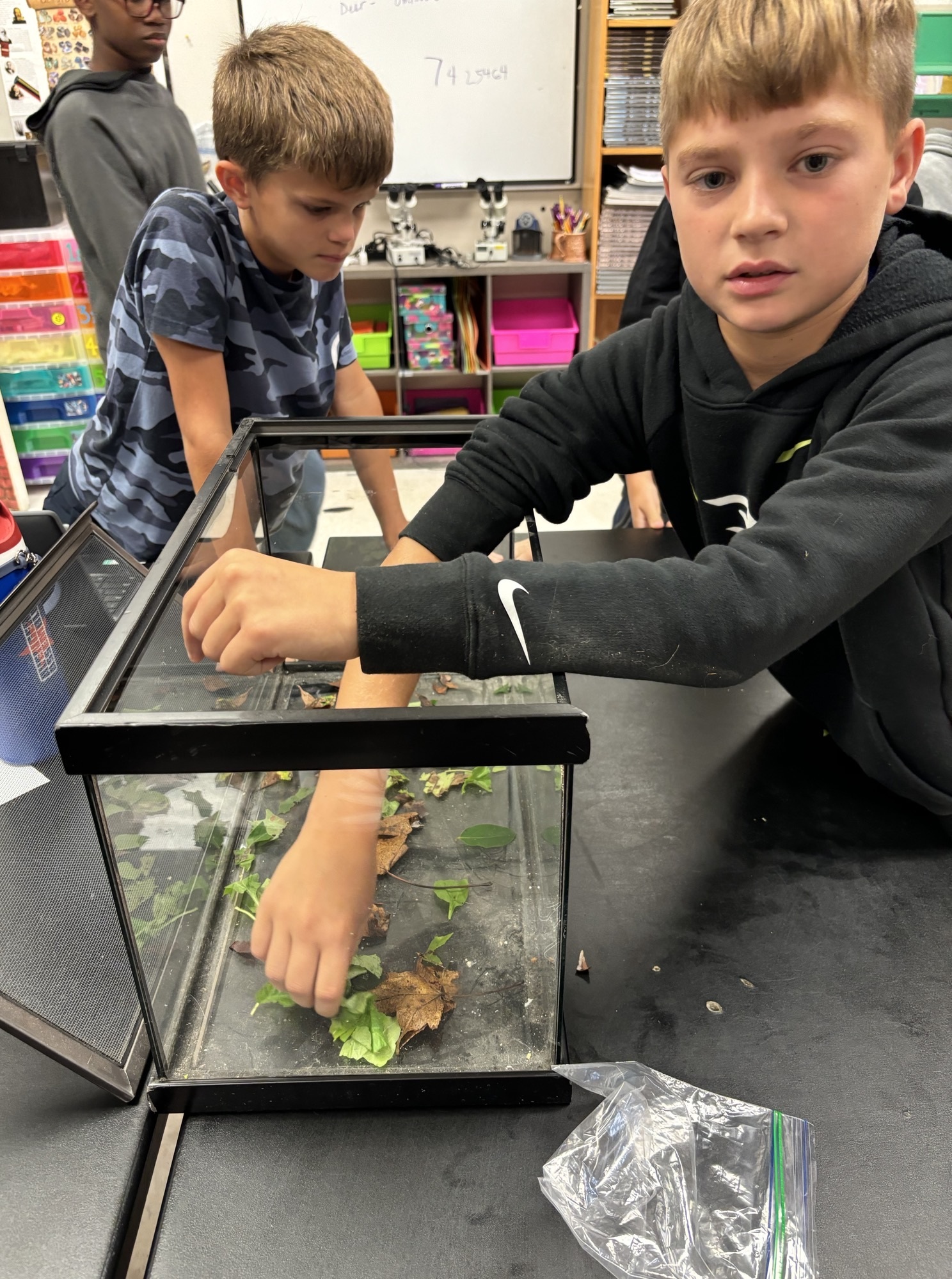 The Piedmont School photo 1