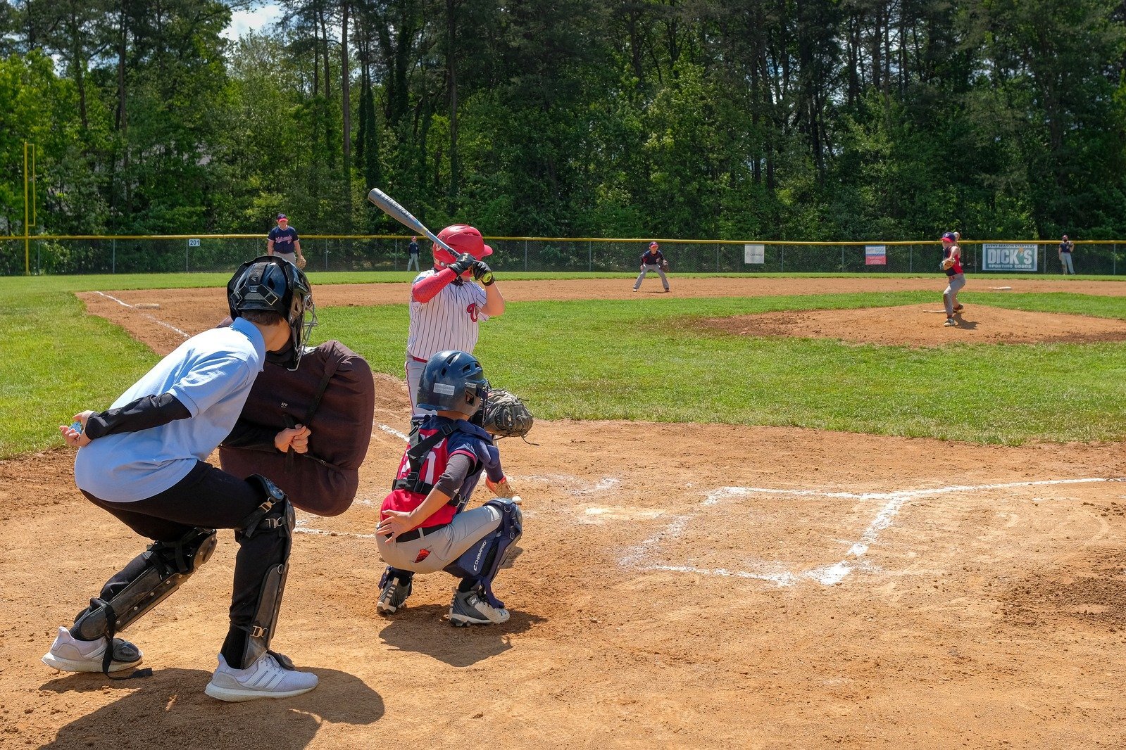 Tiger Baseball Camp
