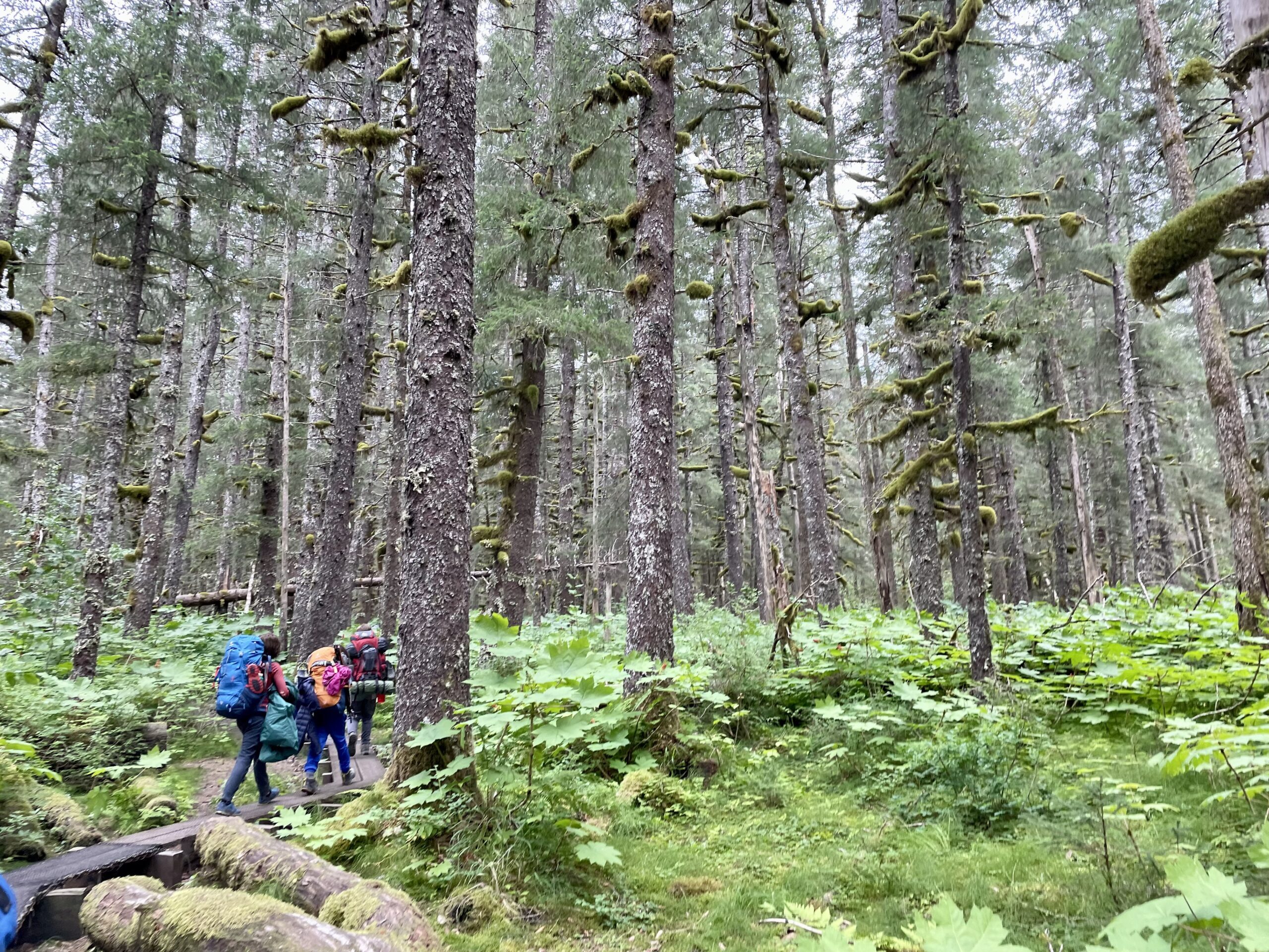 HoWL - Homer Wilderness Leaders фото 1