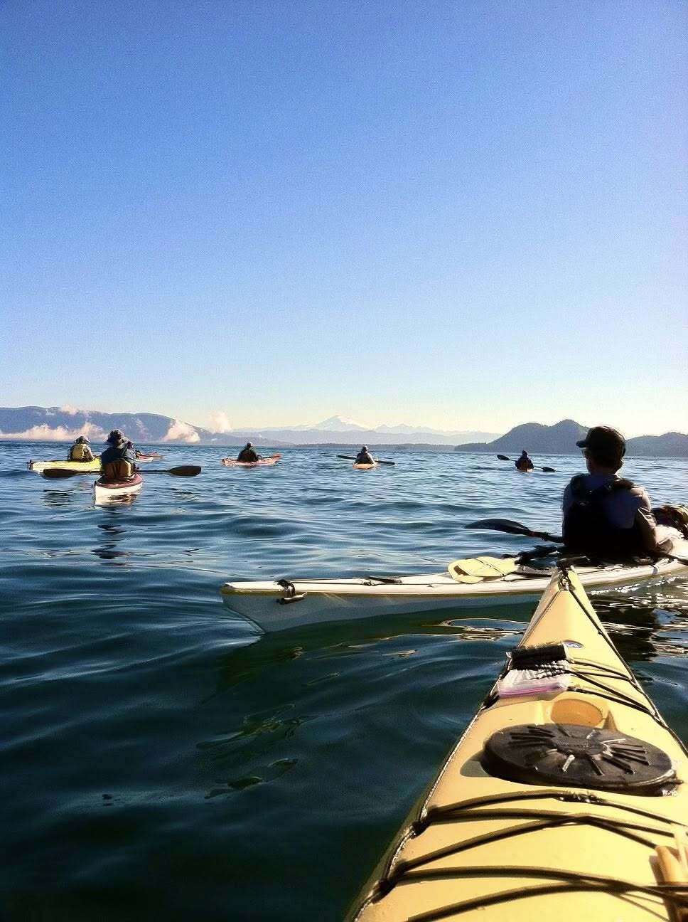 Trackers Earth-Sellwood Camps фото 1