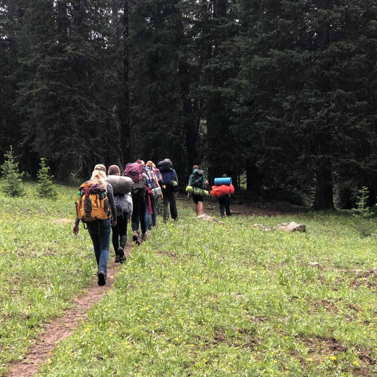 Peaceful Valley Scout Ranch фото 1