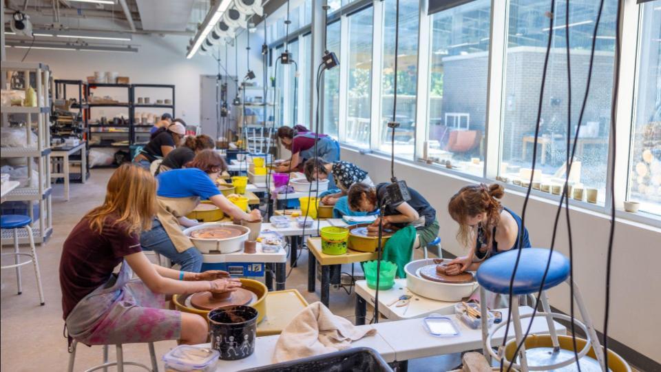 UNC Asheville Pre-College Program: Pre-Med фото 1