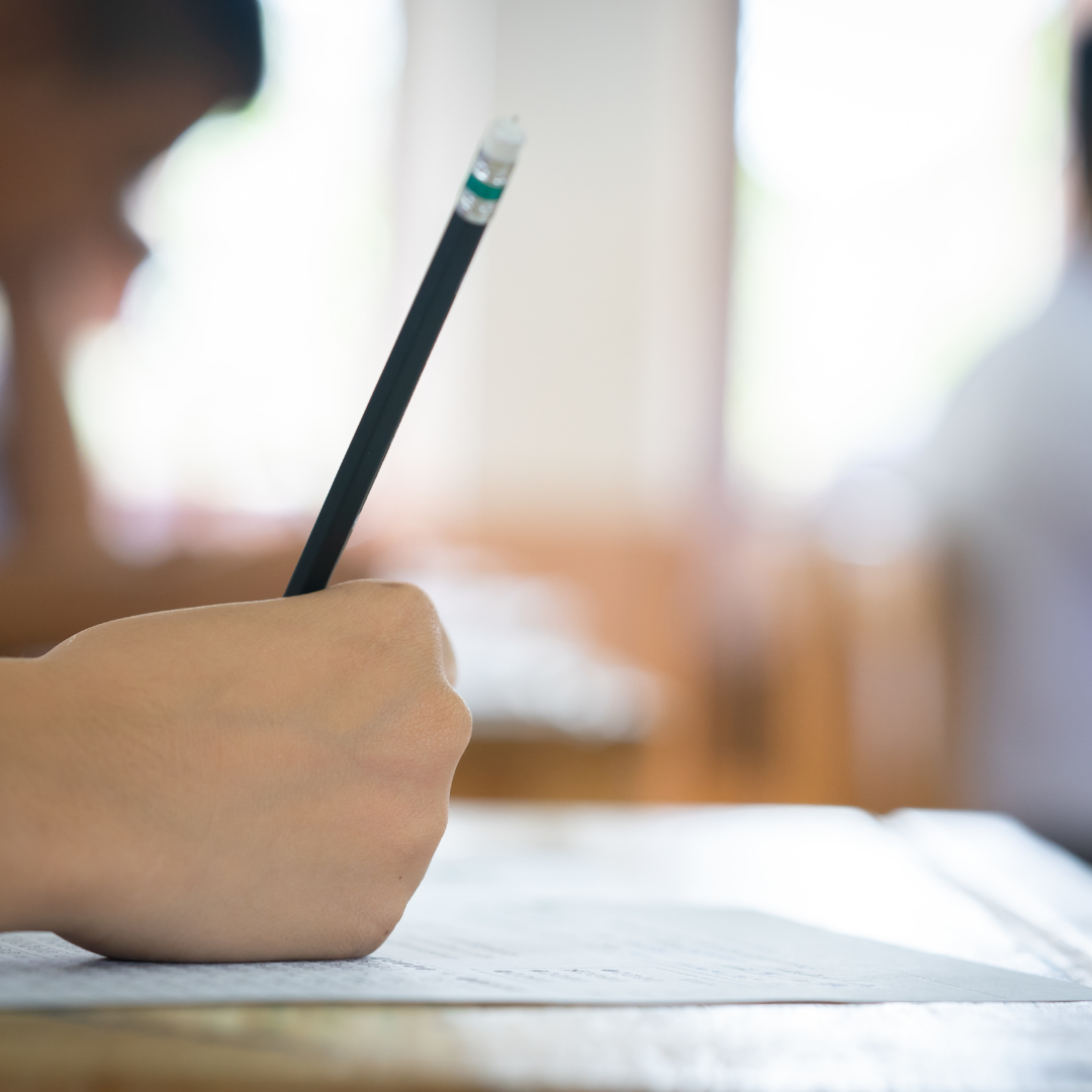 Wasatch Community Gardens Summer Camps фото 1