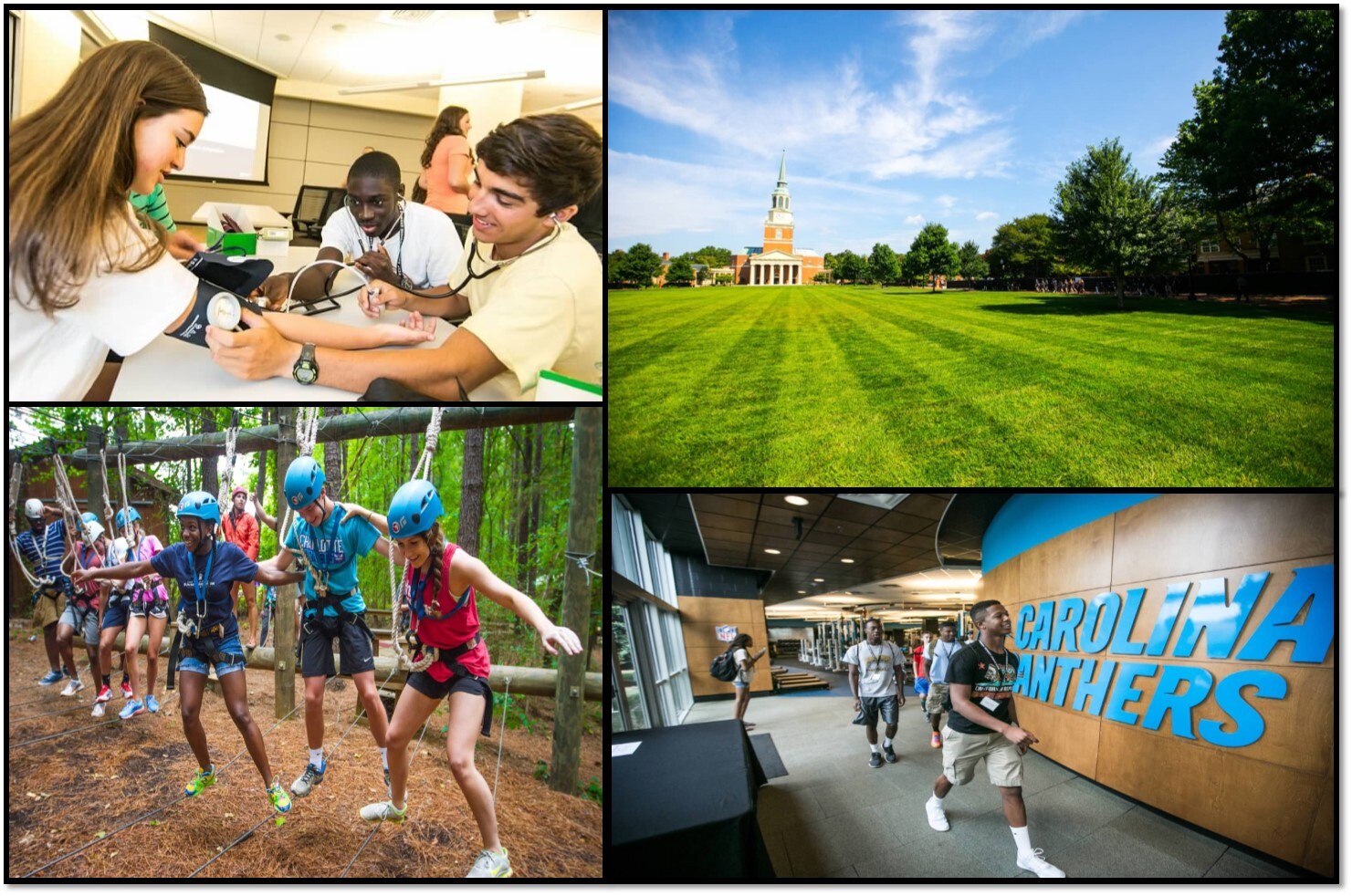 Wake Forest Summer Immersion: Entrepreneurship Institute фото 1