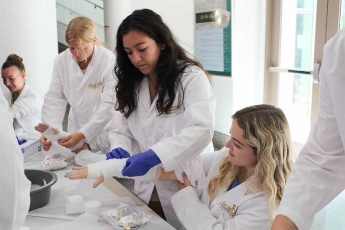 Wake Forest Summer Immersion: Sports Medicine Institute