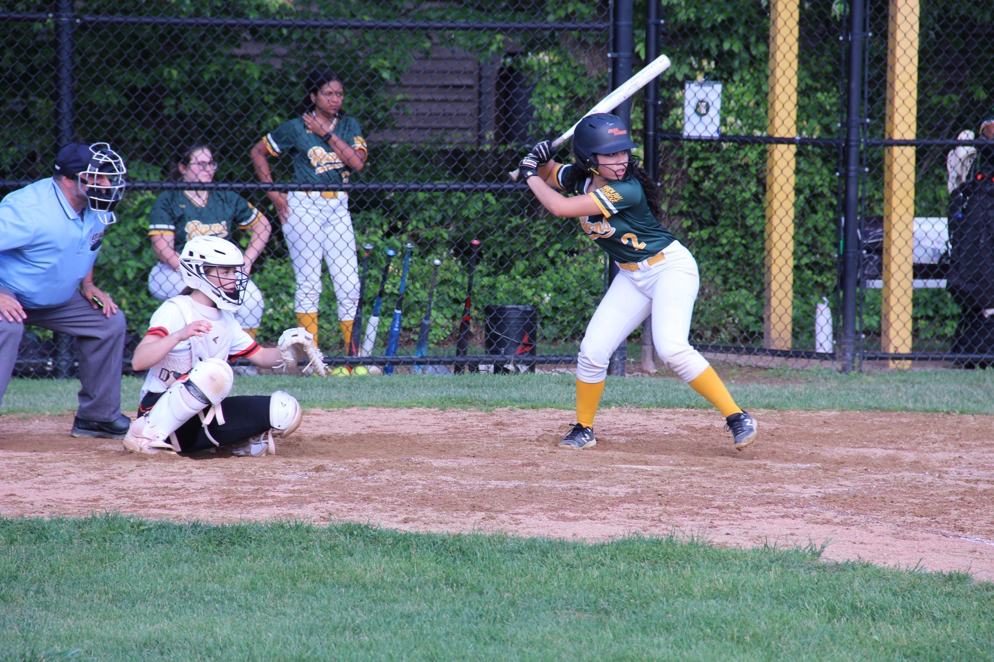 New Logic Marine Science Camp фото 1