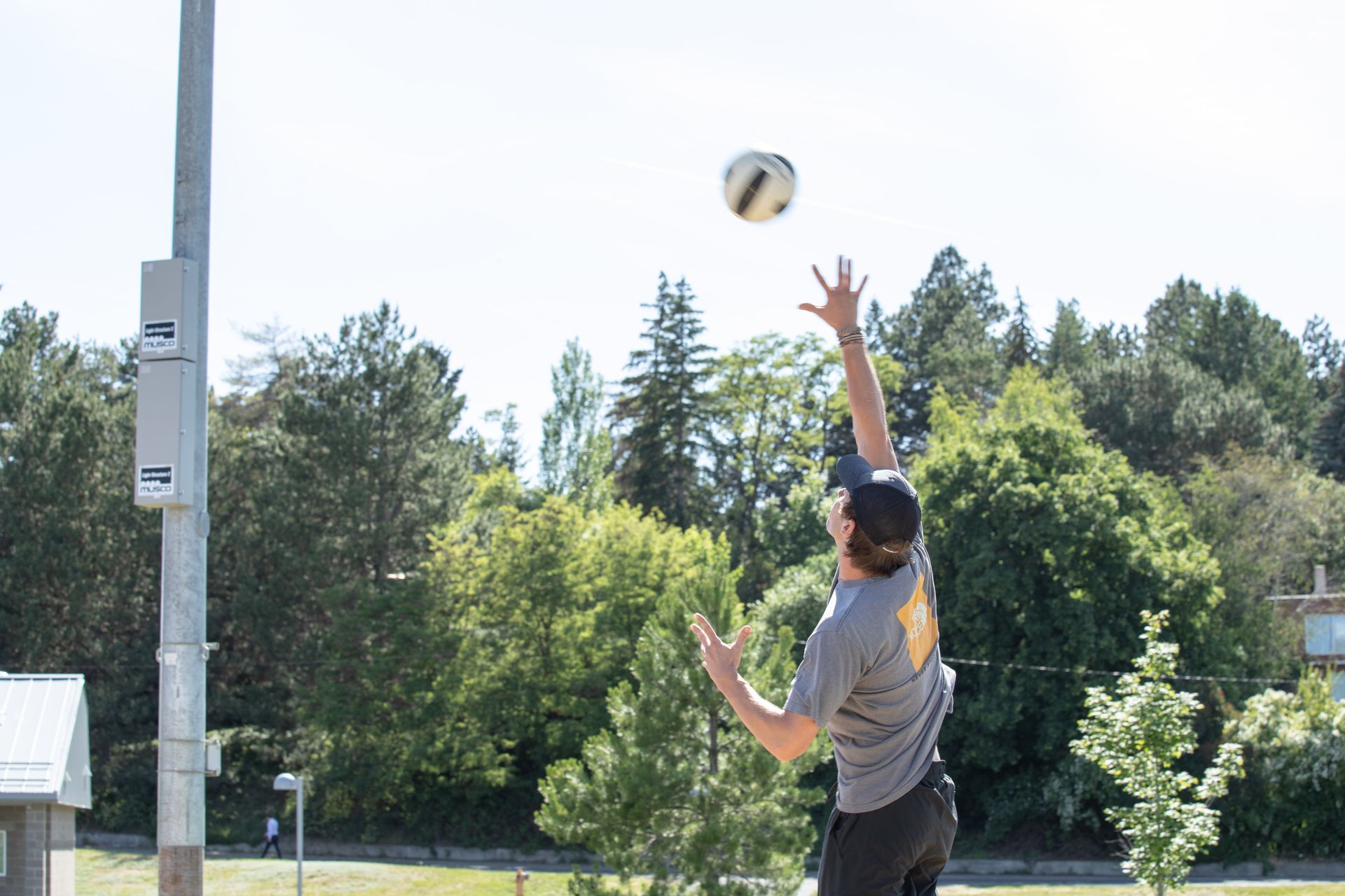 Wilderness Awareness School Camps фото 1