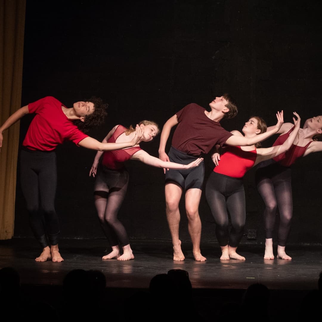 Wilmington Ballet Academy Of The Dance Summer Prog photo 1