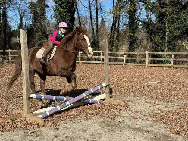 Winding Creek Stables