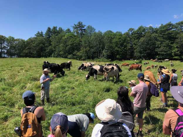 Wolfes Neck Farm Summer Day Camp