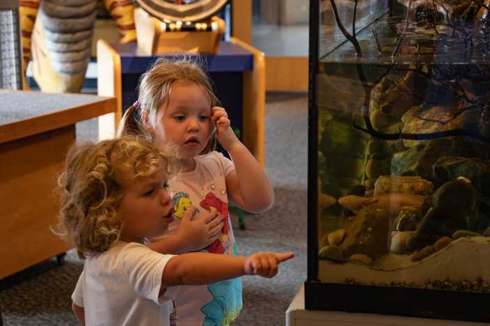 WonderCamp Summer Camps