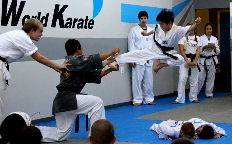 World Karate Tae Kwon Do Summer Camps