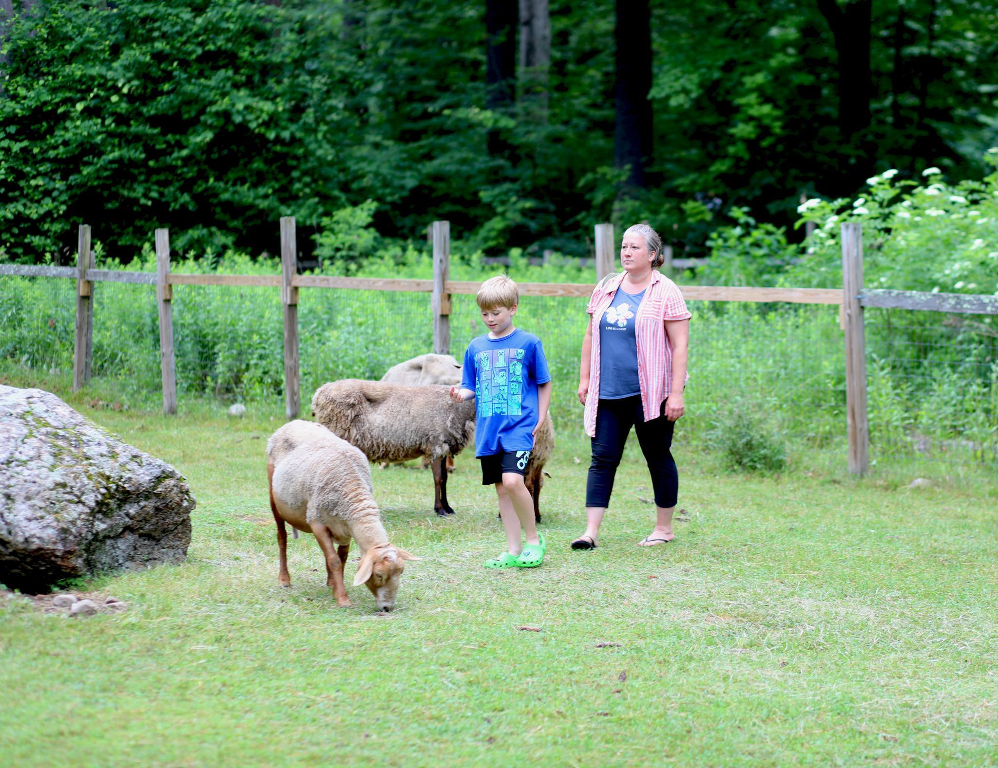 Barry Conservation Camp фото 1