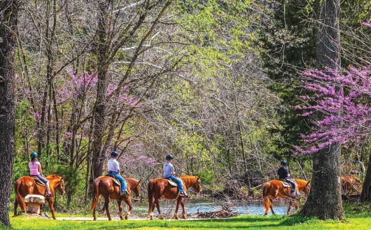Ymca Clinton County Il